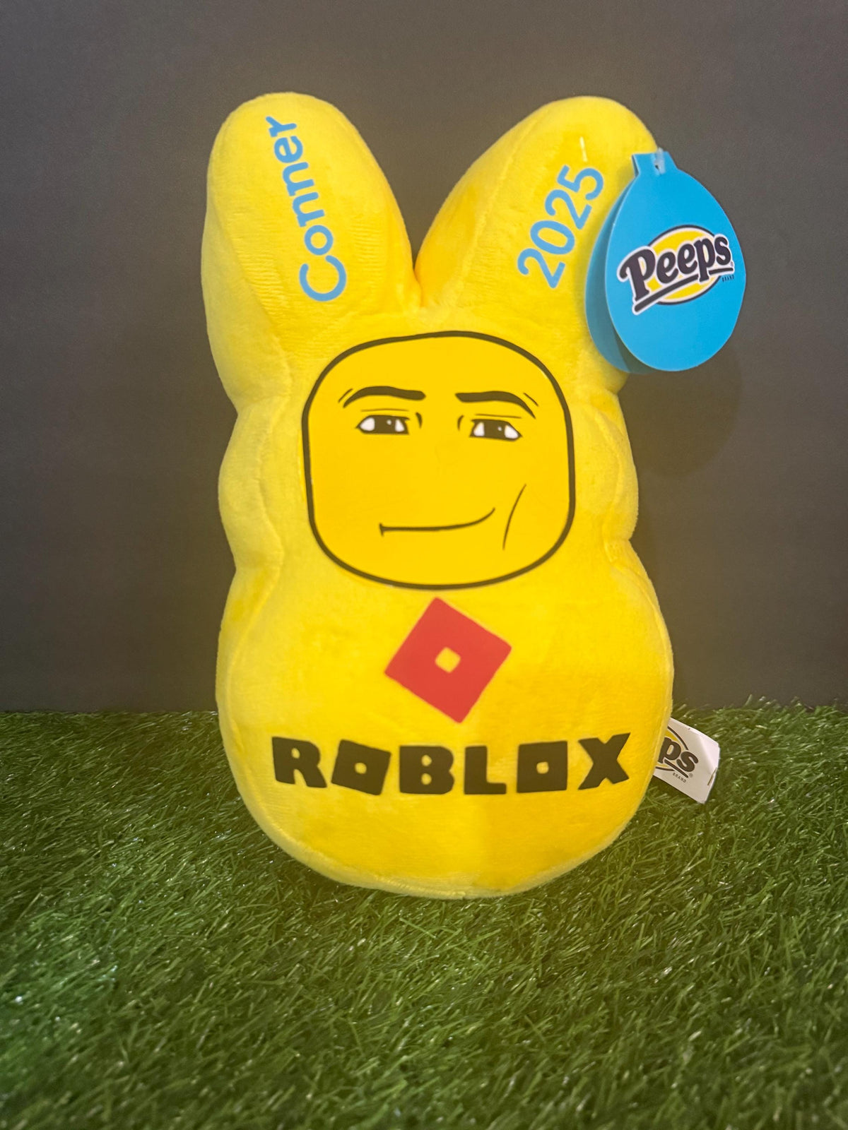 Personalized Gamer Peep Plush, Blocky Game Inspired, Custom Name Easter Plush
