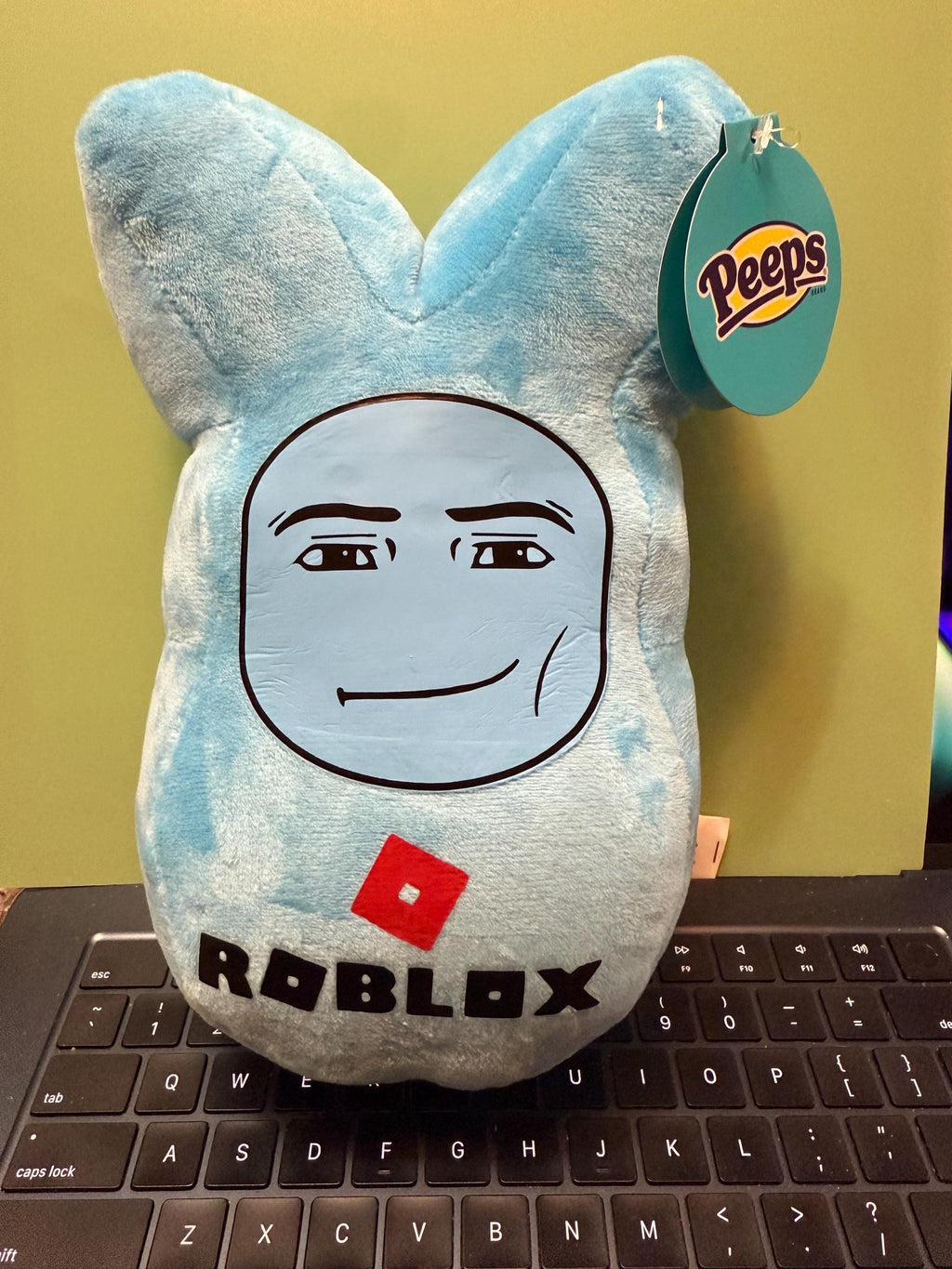 Personalized Gamer Peep Plush, Blocky Game Inspired, Custom Name Easter Plush