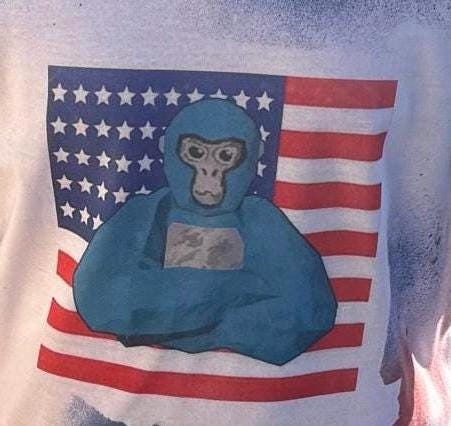 Monkey/Flag 4th of July T shirt